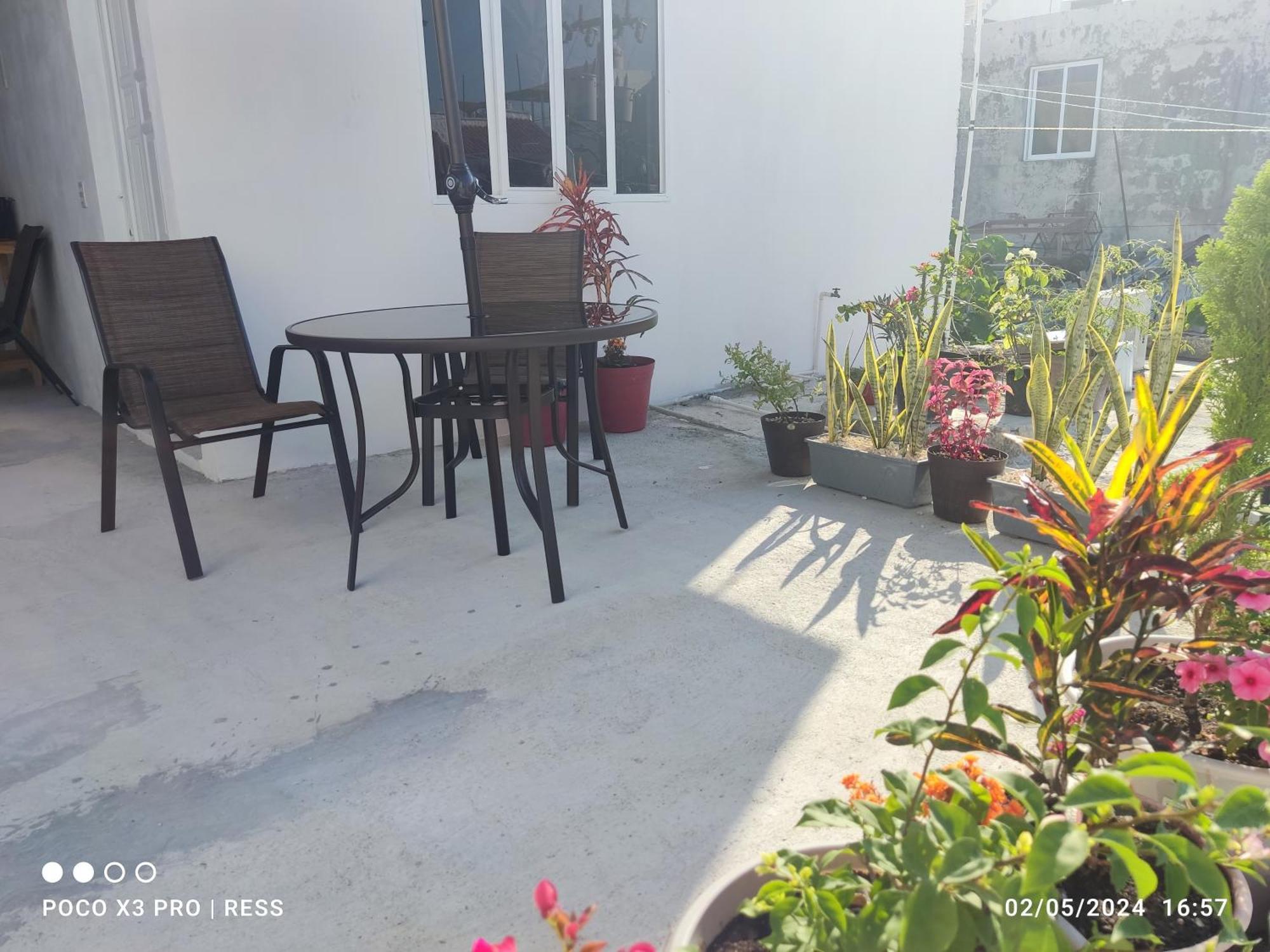 Tierra Maya Hotel Playa del Carmen Eksteriør billede