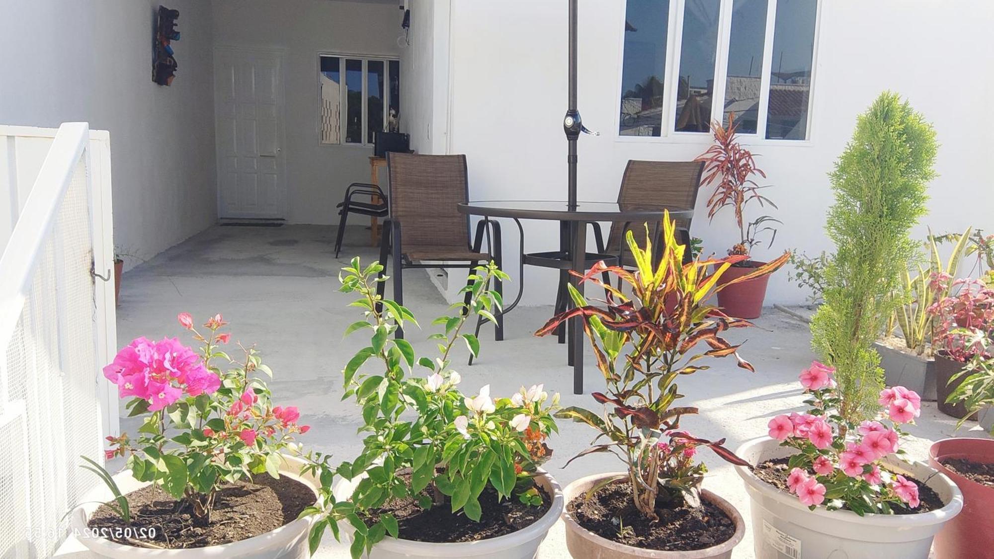 Tierra Maya Hotel Playa del Carmen Eksteriør billede